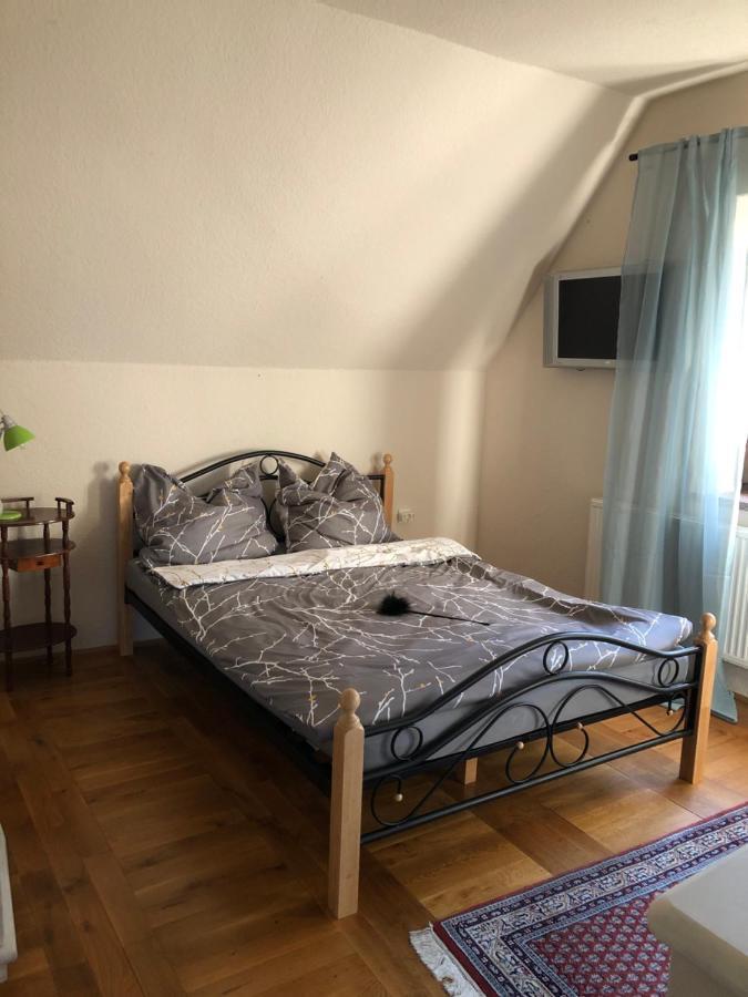 Ferienhaus Mit Pool Zum Traeumen Und Entspannen Fuer Alle Sinne Bad Schmiedeberg Eksteriør bilde