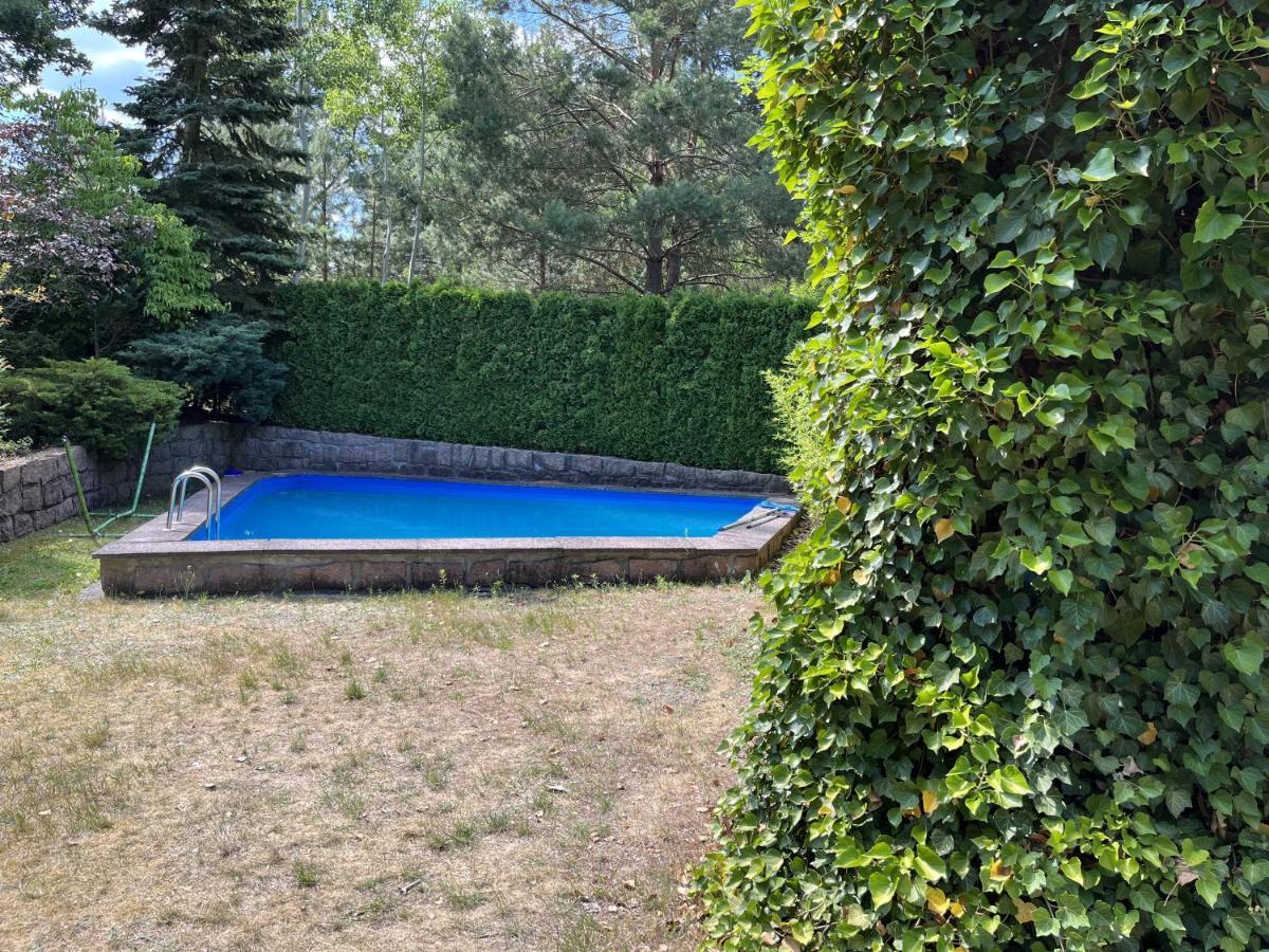 Ferienhaus Mit Pool Zum Traeumen Und Entspannen Fuer Alle Sinne Bad Schmiedeberg Eksteriør bilde